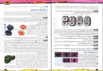 دانلود PDF کتاب فاگوزیست پایه یازدهم فردین جوادی 📕-1