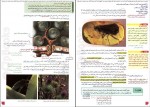 دانلود PDF کتاب زیست شناسی 2 پایه یازدهم مجید علی نوری 📕-1