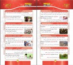 دانلود PDF کتاب چهار هزار واژه ضروری انگلیسی جلد 2 پاول نیشن 📕-1