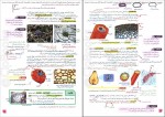 دانلود PDF کتاب درسی زیست شناسی 1مجید علی نوری 📕-1