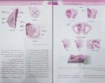 دانلود PDF کتاب بیماری های زنان و زایمان بکمن 📕-1