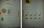 دانلود PDF کتاب زیست 3 جلد 1 فاگو 📕-1
