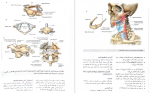 دانلود PDF کتاب آناتومی گری جلد سوم 📕-1