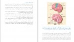 دانلود PDF کتاب حقایق مغز امیر رضوانی 📕-1