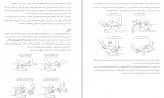 دانلود PDF کتاب تسهیل رشد در کودکان مبتلا به اسپینا بیفیدا نوشین مرادی 📕-1