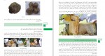 دانلود PDF کتاب پرورش زنبور عسل آموزش و پرورش 📕-1