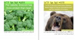 دانلود PDF کتاب شگفت انگیز ولی واقعی 2 احسان کوثری نیا 📕-1