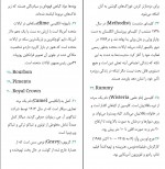 دانلود PDF کتاب جایی که خرچنگ ها آواز می خوانند محمد امین جندقیان بیگدلی 📕-1