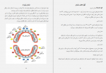 دانلود PDF کتاب سلامت دندان و دهان لقمان محمدیان 📕-1