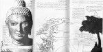 دانلود PDF کتاب بودا قدم اول علی کاشفی پور 📕-1