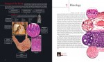 دانلود PDF کتاب اطلس آناتومی انسان (زبان اصلی) مارک نیلسن 📕-1