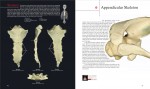 دانلود PDF کتاب اطلس آناتومی انسان (زبان اصلی) مارک نیلسن 📕-1