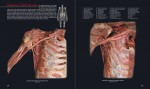 دانلود PDF کتاب اطلس آناتومی انسان (زبان اصلی) مارک نیلسن 📕-1