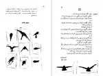 دانلود PDF کتاب دو مرغابی در مه حسین پناهی 📕-1