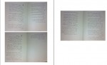 دانلود PDF کتاب پیامبر و دیوانه نجف دریابندری 📕-1