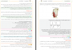 دانلود PDF سوالات و پاسخنامه زیست شناسی دهم 📕-1