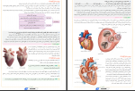 دانلود PDF سوالات و پاسخنامه زیست شناسی دهم 📕-1