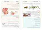 دانلود PDF سوالات آزمون شماره 2 زیستاز دوازدهم 📕-1