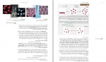 دانلود PDF کتاب شیمی عمومی سیلبربرگ 📕-1