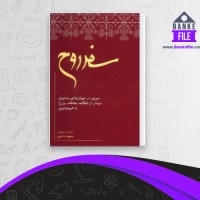 دانلود PDF کتاب سفر روح محمود دانایی 📕