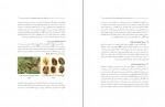 برای بزرگنمایی کلیک کنید دانلود PDF کتاب دستورالعمل مدیریت تلفیقی حاصلخیزی خاک و تغذیه درخت سیب جهاد کشاورزی 📕-1