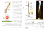 دانلود PDF کتاب آناتومی گری جلد دوم 📕-1