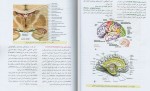 دانلود PDF کتاب آناتومی عمومی علی والیانی 📕-1