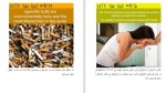 برای بزرگنمایی کلیک کنید دانلود PDF کتاب حقایق شگفت انگیز علمی 3 احسان کوثری نیا 📕-1