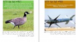 برای بزرگنمایی کلیک کنید دانلود PDF کتاب حقایق شگفت انگیز علمی 3 احسان کوثری نیا 📕-1