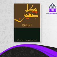 دانلود PDF کتاب صفین پرویز تابکی 📕