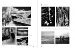 دانلود PDF کتاب عکاسی طبیعت مستند و گزارشی فنی و حرفه ای 📕-1