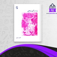 دانلود PDF کتاب زن در آتیش زرتشتی کتایون مزداپور 📕